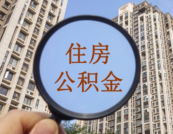 济源退休后查不到公积金明细了吗（退休后公积金查询不到原因）